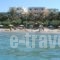 Artemis_accommodation_in_Hotel_Crete_Lasithi_Makrys Gialos