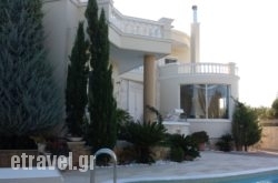 Villa Kokkalis hollidays