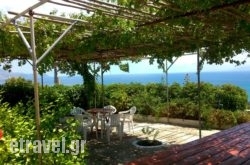 Thanasis' apartments hollidays