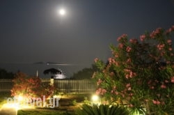 Anastasia Studios hollidays