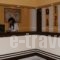 Hotel Giorgio_best deals_Hotel_Central Greece_Attica_Acharnes (Menidi)