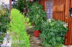 Erato 2 hollidays Erato 2 hollidays