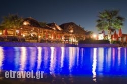 Theo Hotel hollidays Theo Hotel hollidays