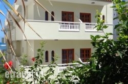 Seagull Studios hollidays