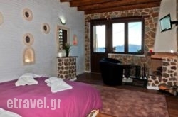 Anilia hollidays Anilia hollidays