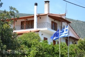 Dimitras House_holidays_in_Hotel_Peloponesse_Arcadia_Astros