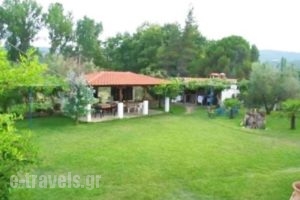 Grivas House_travel_packages_in_Macedonia_Halkidiki_Chalkidiki Area