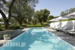 Olivemare hollidays Olivemare hollidays