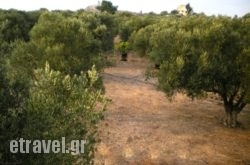 Diamanti Studios Apartments hollidays