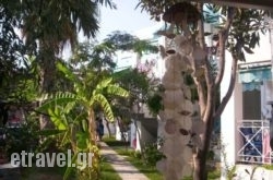 Meltemi hollidays Meltemi hollidays