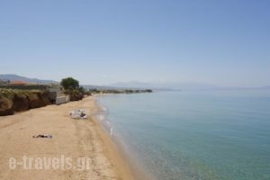 Almyra Apartments_accommodation_in_Apartment_Crete_Rethymnon_Rethymnon City