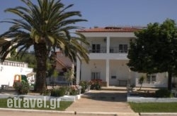 Apocalypsis hollidays Apocalypsis hollidays