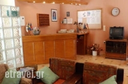 Alexandra hollidays Alexandra hollidays