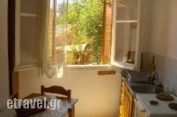 Manolo Studios hollidays