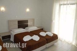 Phaethon hollidays Phaethon hollidays