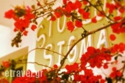 Sigma Studios on The Beach hollidays