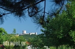 Dimitris Apartments hollidays Dimitris Apartments hollidays