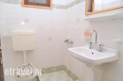 The Delfini hollidays