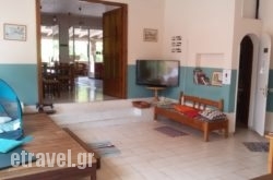 Wilde Rose hollidays Wilde Rose hollidays