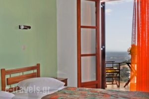 Pension Andromeda_lowest prices_in_Hotel_Sporades Islands_Alonnisos_Patitiri