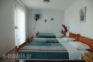 Athena Haus_holidays_in_Hotel_Macedonia_Pieria_Olympiaki Akti