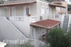 Theo Studios hollidays Theo Studios hollidays