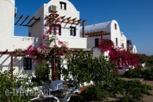 Anna Traditional Apartments_holidays_in_Apartment_Cyclades Islands_Sandorini_Sandorini Chora