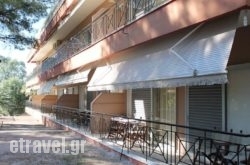 Mango Hotel hollidays