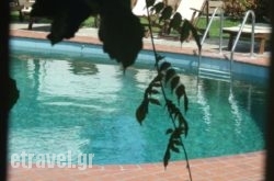 Theodora Studios hollidays Theodora Studios hollidays