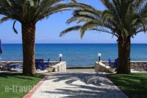 Zakantha Beach_holidays_in_Hotel_Ionian Islands_Zakinthos_Zakinthos Rest Areas
