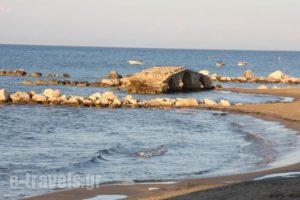 Zakantha Beach_travel_packages_in_Ionian Islands_Zakinthos_Zakinthos Rest Areas