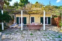 Turtle Beach hollidays Turtle Beach hollidays