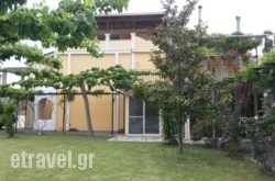 Repo Studio hollidays Repo Studio hollidays