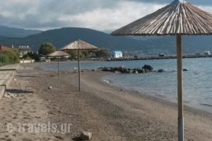 Repo Studio_travel_packages_in_Central Greece_Fokida_Chiliadou