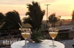 Acapus Studios hollidays