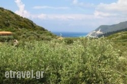 Ionio Studios hollidays Ionio Studios hollidays