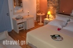 Trapela hollidays Trapela hollidays