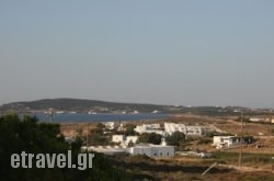 Lazino Studios And Apartments hollidays Lazino Studios And Apartments hollidays