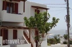 Studios Venetsanos hollidays Studios Venetsanos hollidays