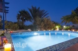 White & Blue hollidays