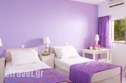 Primavera Beach Hotel Studios & Apartments hollidays Primavera Beach Hotel Studios & Apartments hollidays