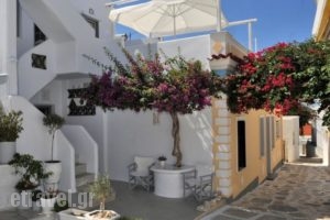 Eleftheria Veloudiou_accommodation_in_Hotel_Cyclades Islands_Tinos_Tinosora