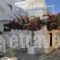 Eleftheria Veloudiou_accommodation_in_Hotel_Cyclades Islands_Tinos_Tinosora