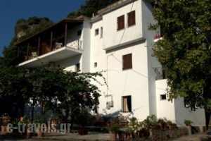 Oasis_accommodation_in_Hotel_Thessaly_Magnesia_Zagora