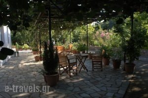 Oasis_lowest prices_in_Hotel_Thessaly_Magnesia_Zagora