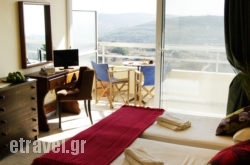 Thomas hollidays Thomas hollidays