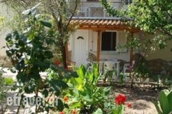 Villa Galini hollidays Villa Galini hollidays