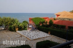Alisaxni Studios hollidays