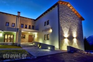 Anavasi Mountain Resort_best deals_Hotel_Epirus_Ioannina_Pramanda