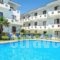Dolphin Beach Hotel_holidays_in_Hotel_Macedonia_Halkidiki_Kassandreia